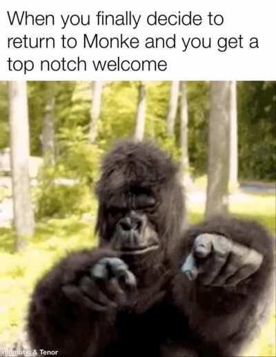 20 Ape Memes For People Who Want To Return To Monke - Memebase