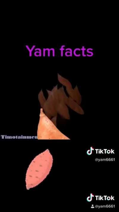 yam facts