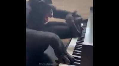 Alex Turner playing Golden Trunks on his brand new piano