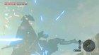 This Trick shot from legend of Zelda:Breath of the wild