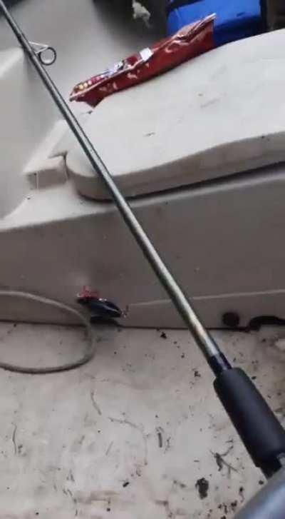 SOUND ON! WE ARE TRAINED PROFESSIONALS! DO NOT TRY THIS AT HOME!