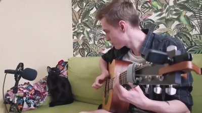 Black cat singing blues