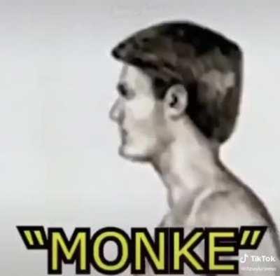 RETURN TO MONKE