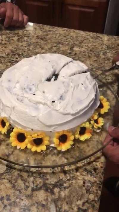 Cake reveal