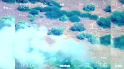 Chadian Su-25 strikes on Boko Haram