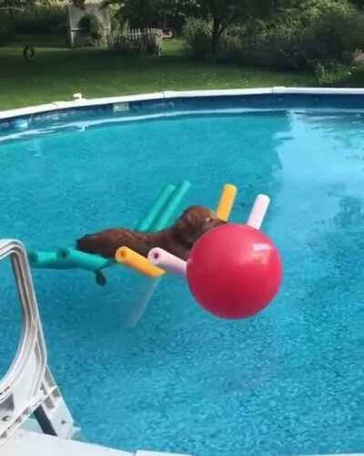 A float in the pool...