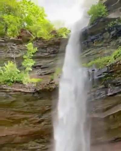 Baby seeing a waterfall for the first time