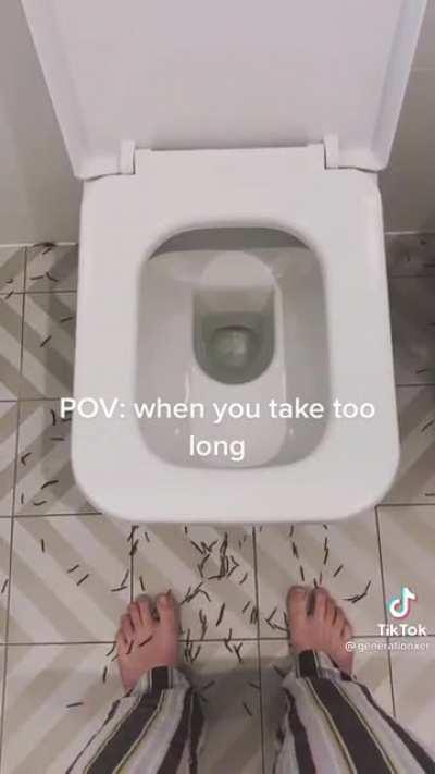 Having a square toilet