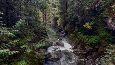 Lynn Canyon today