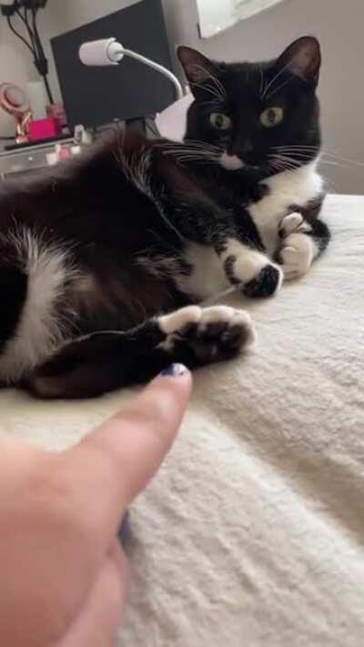 No touchy the beans