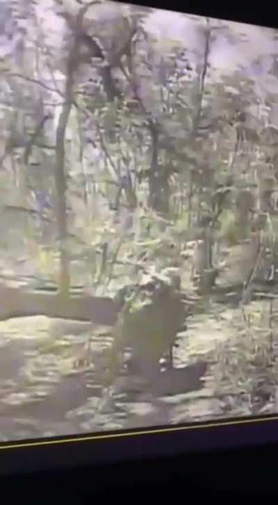 Ukrainian FPV drone sneaks up on Russian soldier in the woods.