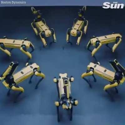 SPOT robots from Boston Dynamics doing coordinated group dance