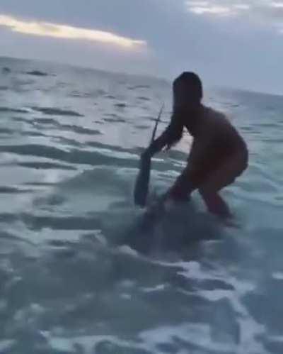 Just a woman saving a shark.