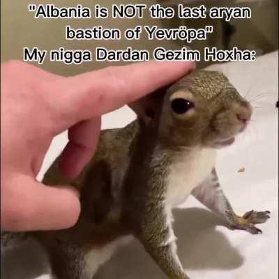 Albanian slander