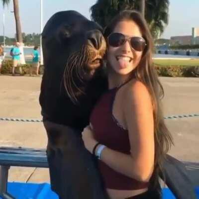 The seal knows exactly what she's doing!