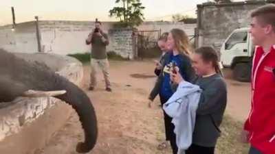 WCGW standing too close to an elephant.