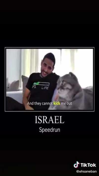 Average zionists life