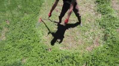 Demonstration of how scythes worked for harvesting/weeding (and how labor intensive they were).