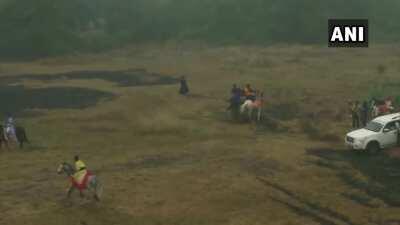 WATCH Punjab: Nihang Sikhs demonstrate horse riding skills on the occasion of BandiChhorDivas, in Amritsar.