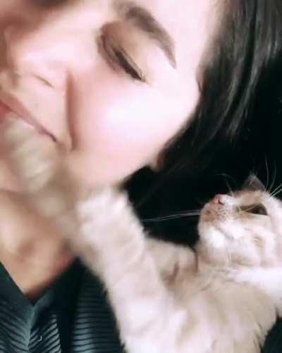 When you're kitties favourite person