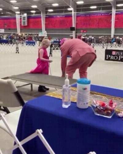 Judge at a Dog Show Invites a Little Girl With Autism to Show Her Stuffed Puppy Like a Real Dog.