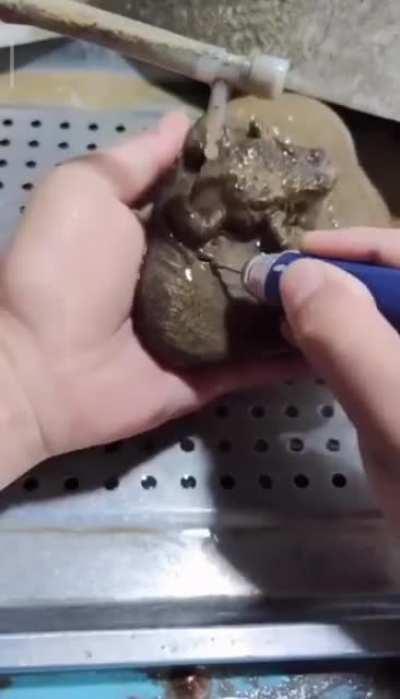 This rock was carved into a hyper-realistic frog.