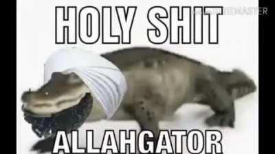 WTF ALLAHGATOR ALL PRAISE ALLAHGATOR HOLY ALLAH