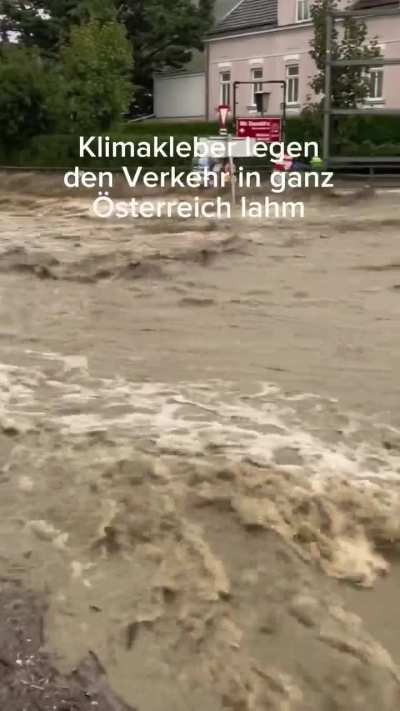 oida klimakleber die wappler