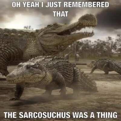 🔥 Anime girl is temporary, sarcosuchus is forever : shid_...