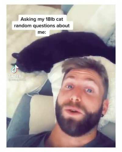 gay🐈irl