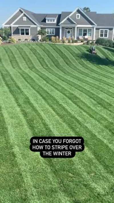 Some immaculate lawn care.