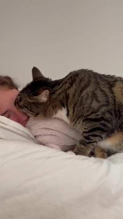 HuMan OVersLEePs... gETS FacE EateN By hunGRY CAT