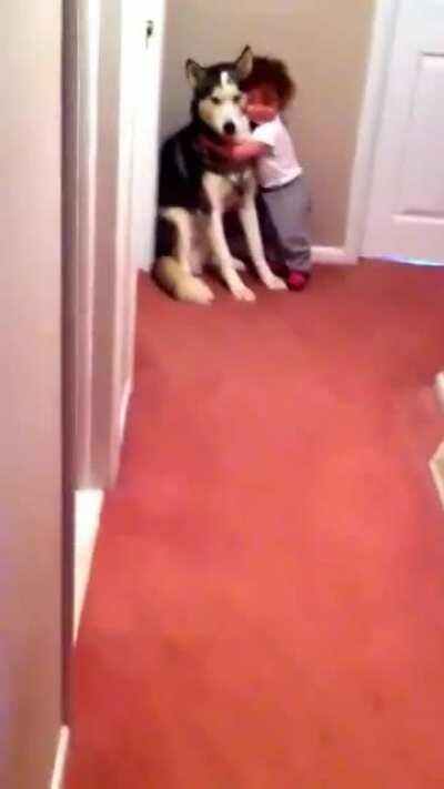 Baby scared of vacuum cleaner runs to doggo for protection