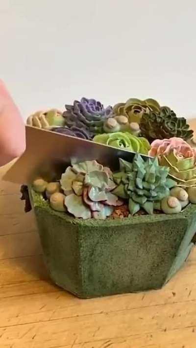 How about cake that succs?