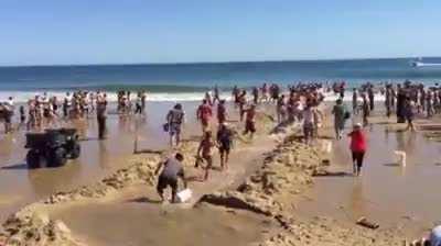 people rescue Great White Shark at Beach