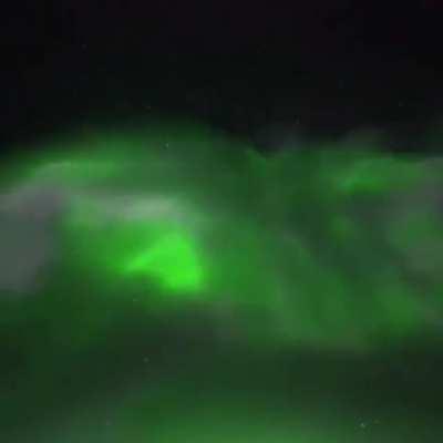 Northern Lights in real time