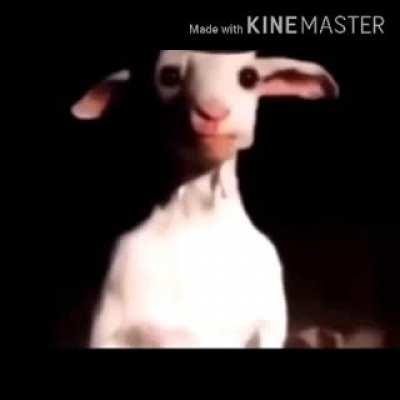 goat staring at you with sinister music for 5 minutes and 26 seconds