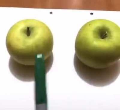 Real Apple vs Picture Apple