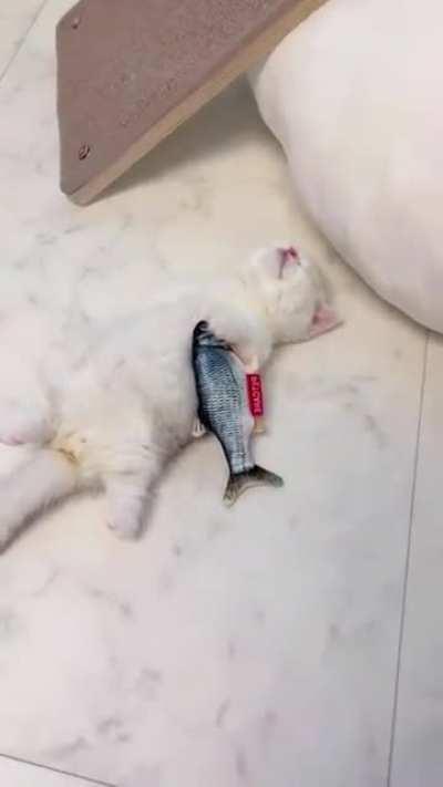 Kitty sleeping with her fishie