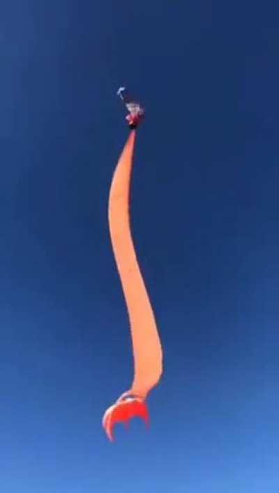 Child lifted meters into the air by giant kite at Taiwan festival