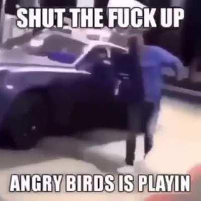 ANGRY BIRDSS