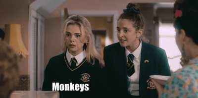 Monkeys are class.