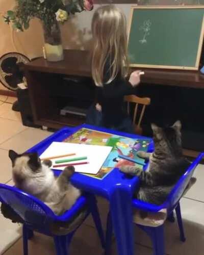 Little girl teaches her cats how to draw a flower