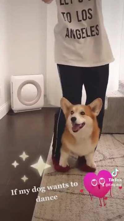 If my dog ​​wants to dance?! So cute