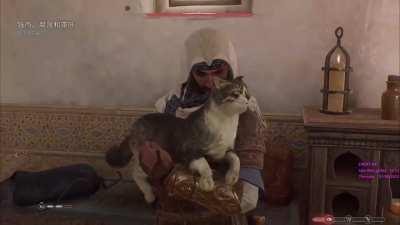 Petting cats in Assassins Creed Mirage