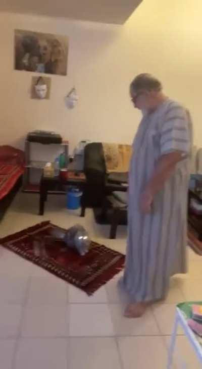 Cat takes over dad's prayer rug