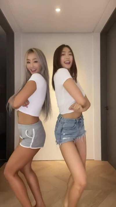 Sistar - Hyolyn &amp;amp; Bora [without Watermark]