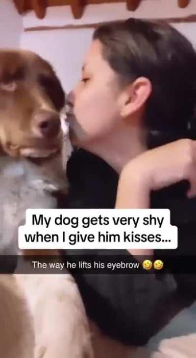 The dog's eyes after the kisses said everything