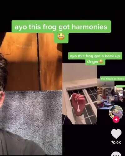 A cool little tune for the frog