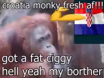 Monkey